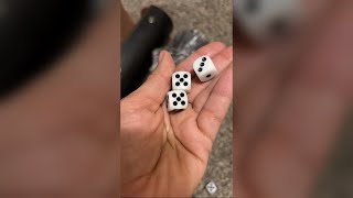 Real review of the Dice and Cup Set