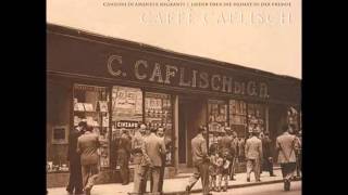 Pippo Pollina - Wenn I Gohn