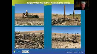 Large Scale Floodplain Rearing Habitat Rehabilitation: Southport Levee Setback