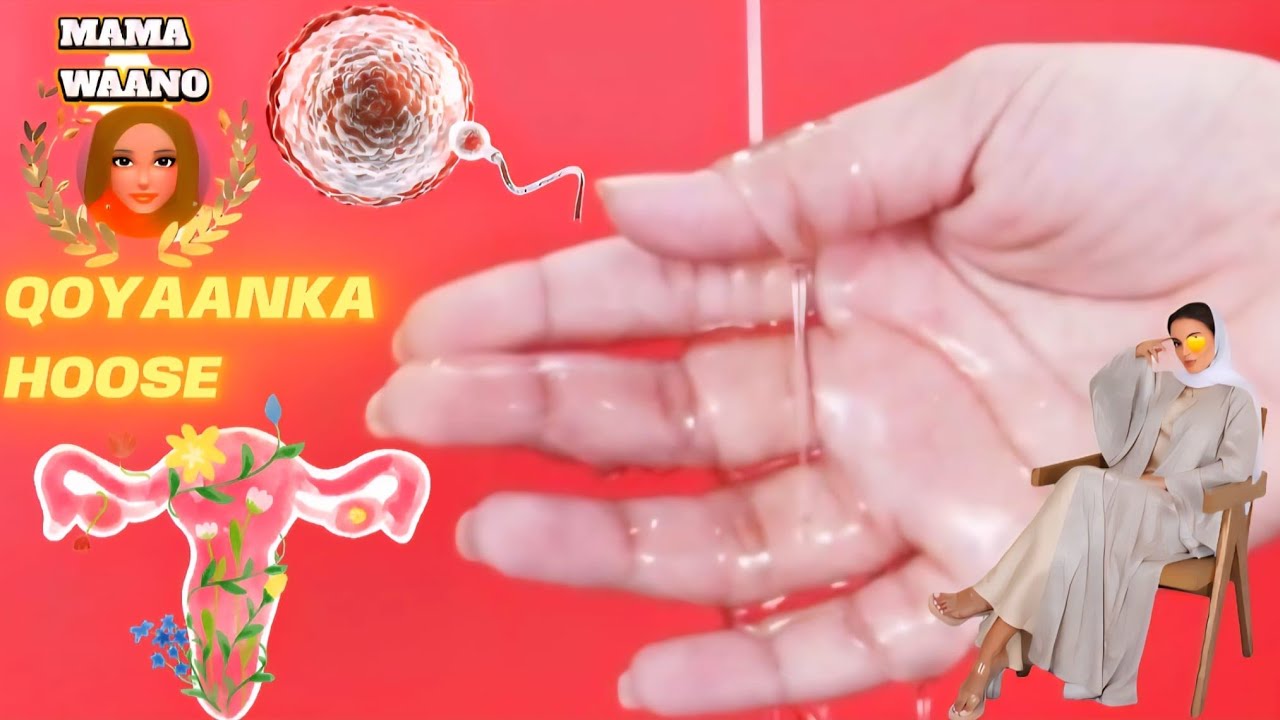 KA WAR QAB QOYAANKAADA HOOSE INNOOWSAN GUURIN