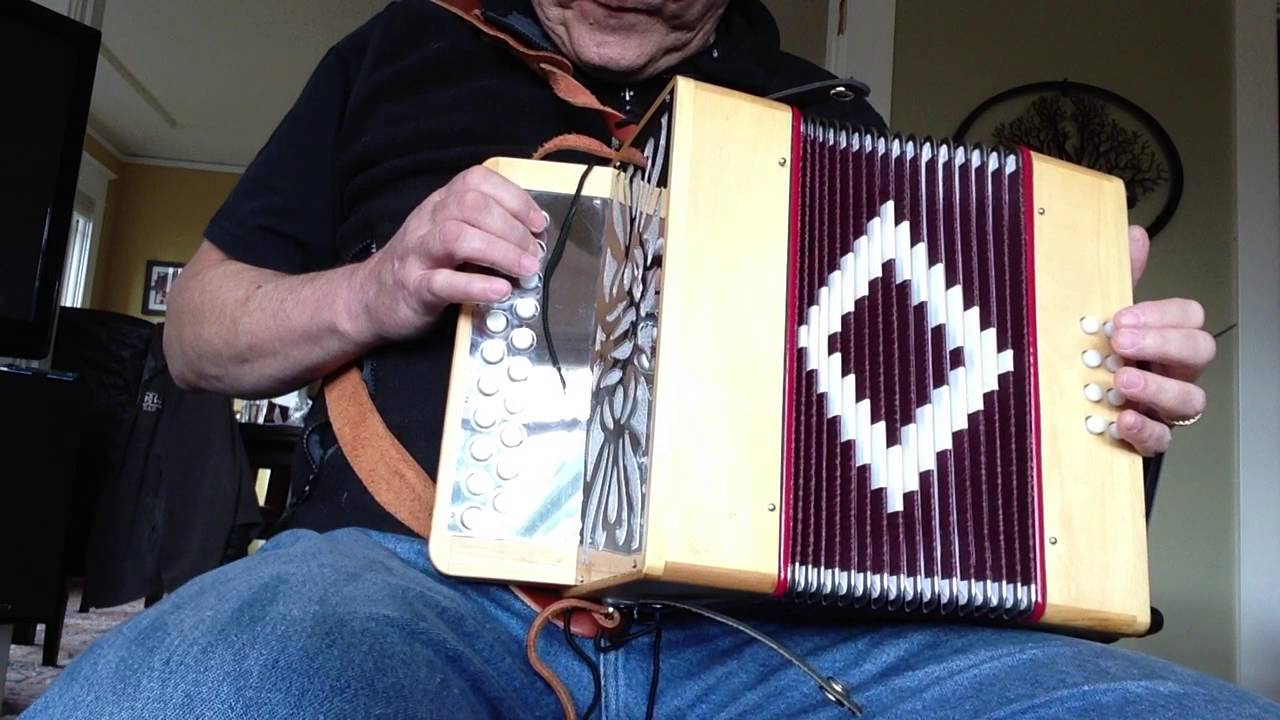 2 Row Botton Box Accordion for sale on Ebay