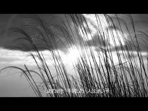 【炎の犬】サンセット・メモリー / 杉村尚美