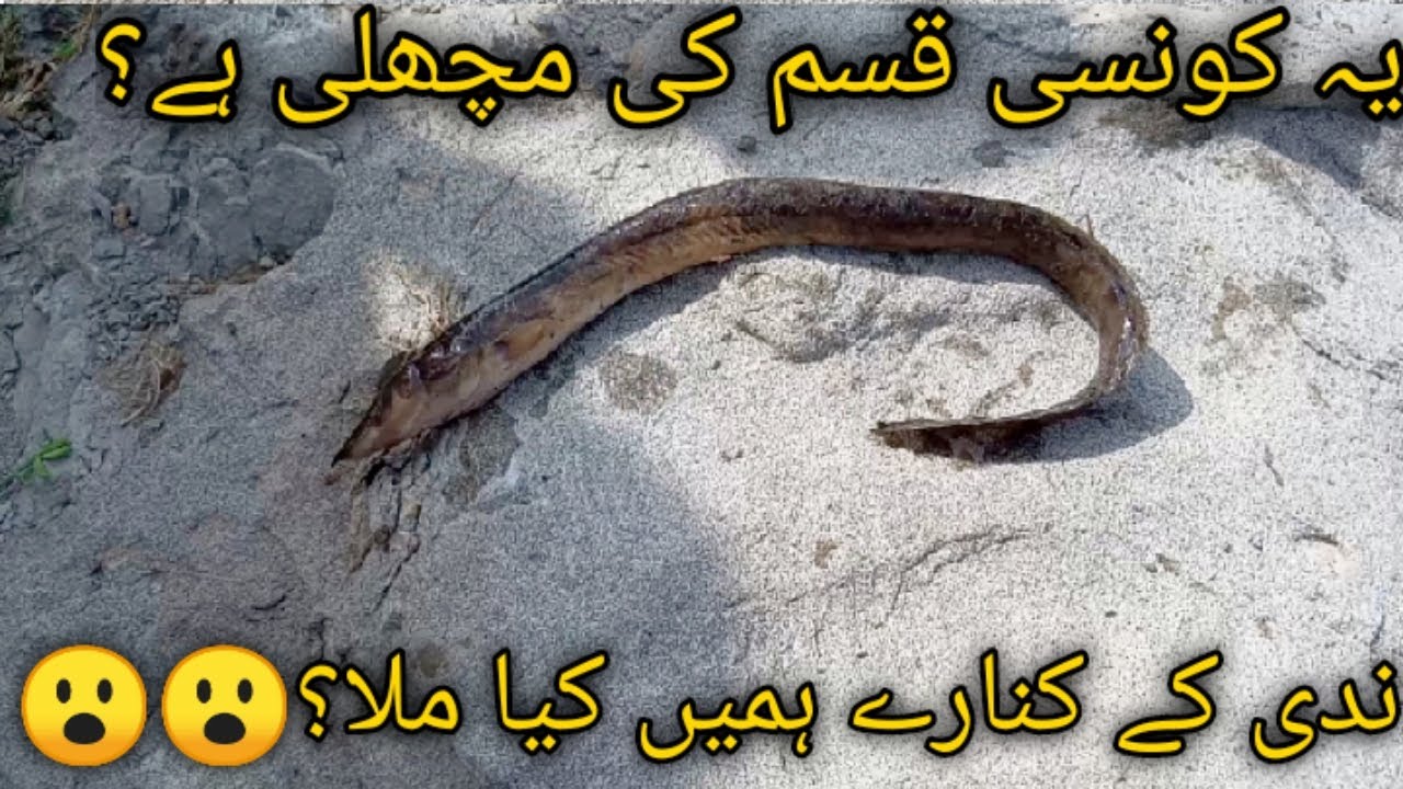nadi ky kinary hmay kya mila.| is this snake or fish? | Darot Vlogs 6 | beautiful places of Pakistan