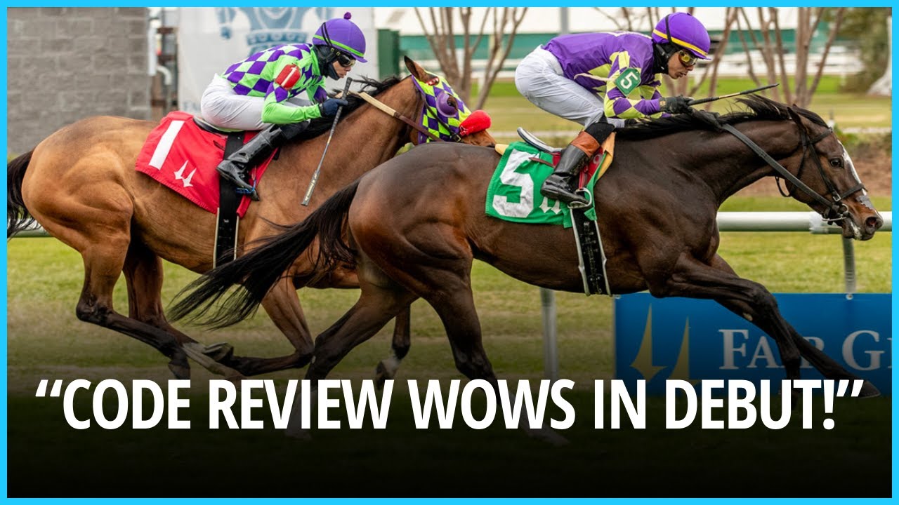 Code Review Debuts with Win at Gulfstream Park  Saffie Joseph Jr. Star। USA NEWS TODAY