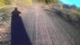 Cerrillo barboza Médano de Oro