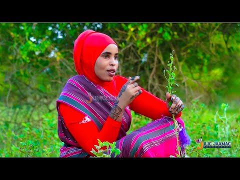 Dhaanto Cusub Qeexitaan Jacayl Nimco Nuuro New Video2022 Dhaanto Dhaanto2022 Dhaantocusub