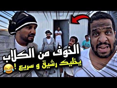 الخوف من الكلاب يخليك رشيق و سريع سنابات مرتضى السلمان 