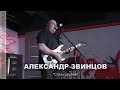 Александр ЗВИНЦОВ - &quot;Стая голубей&quot;