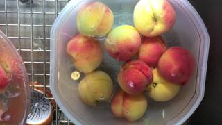 How to Freeze Peaches: The Quick and Easy Way!