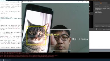Facial recognition of human and cat faces + interactions