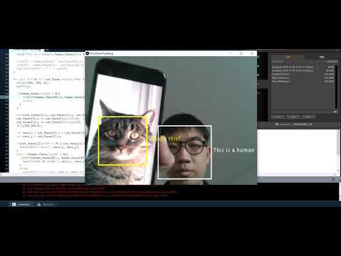 Facial recognition of human and cat faces + interactions