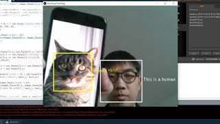 Famous Facial recognition of human and cat faces + interactions Profile