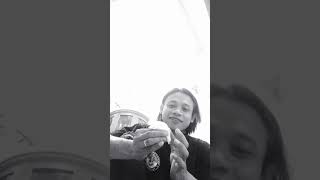 Cara Ngelem Sarang Walet