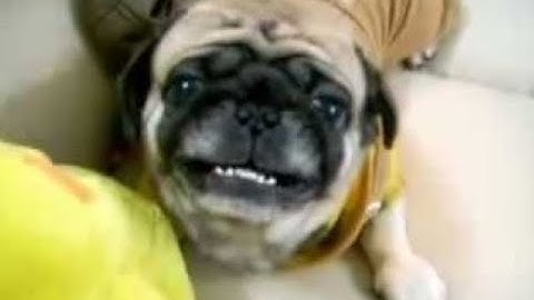 ROBLOX ARSENAL HACKER CAUGHT IN 4k