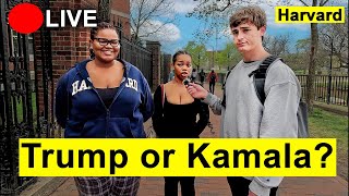 Nick Shirley alleges: IRL Asking Harvard Students Who They Are Voting for