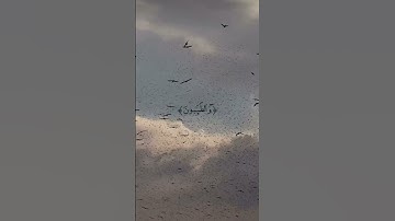 🎧 “استمع يومياً للراحة النفسية | تلاوة هادئة من القرآن.  سوره النور ايه [26] #اكسبلور #المصحف #لايك