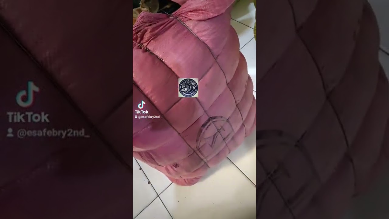 Blefashionzer fashion korea 