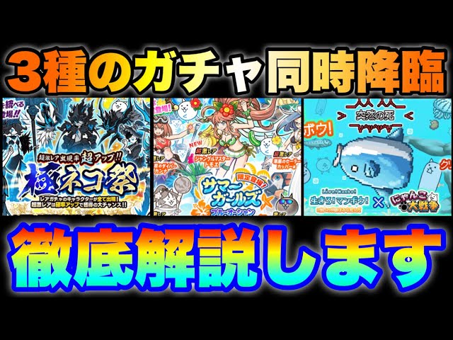 Three types of gacha are available simultaneously! The Extreme Cat