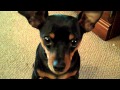 Rockwell: The MinPin