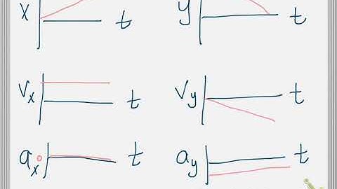 Projectile motion graphs