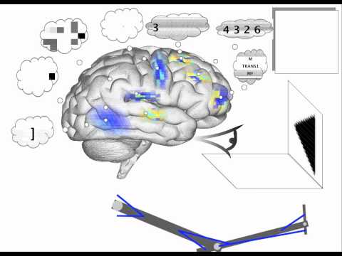 Spaun - Serial working memory (better arm)