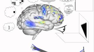Spaun - Serial working memory (better arm)
