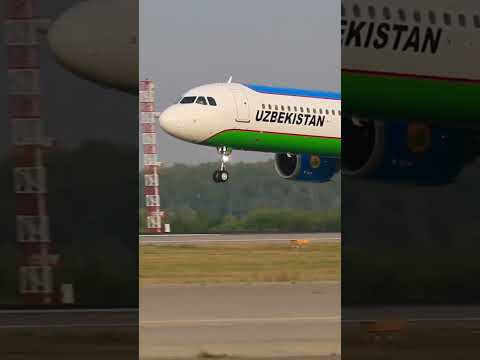 Посадка Airbus A321neo авиакомпании Uzbekistan Airways 🇺🇿👏