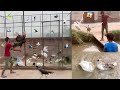 Sary Pets Ko Master Cage Main Shift Ker Diya😍|| Ducks Ko Nehar Main Phenk Diya😱