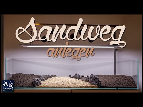 Sandweg im Aquarium anlegen | AquaOwner