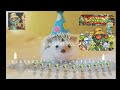 BIRTHDAY - DJ_AFTERBURNZ (EUROBEAT 2022)