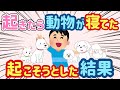【2ch ほのぼの】なぜか飼ってないのに起きたら隣でかわいい動物が寝てた→起こそうとしたら...