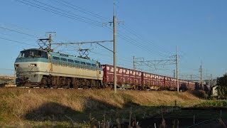 EF66 125号機 2089レ貨物列車 沼津-片浜間