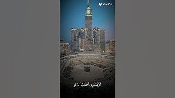 القران الكريم غذاء الروح 💗💗🌼