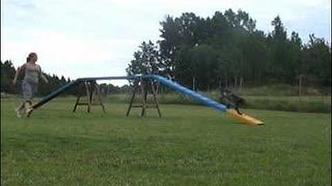 Running contacts on full dogwalk