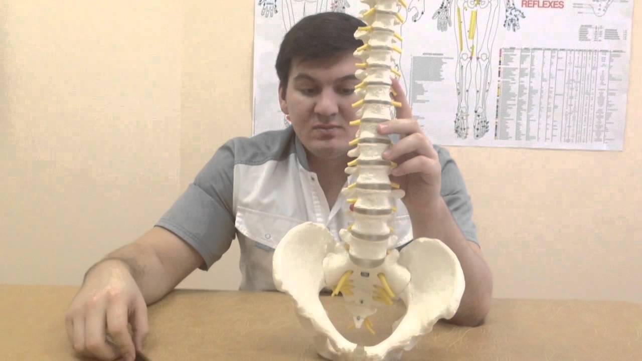 Метод лечения грыжи без операции. The method of treatment of a hernia without surgery - YouTube