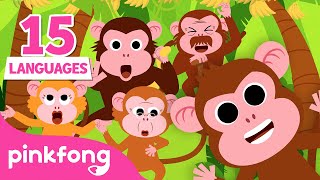 Monkey Banana in 15 languages｜+Compilation｜Pinkfong! Canzoni per Bambini