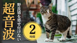 猫を寄せ付けない超音波。野良猫の鳴き声、フン害対策に