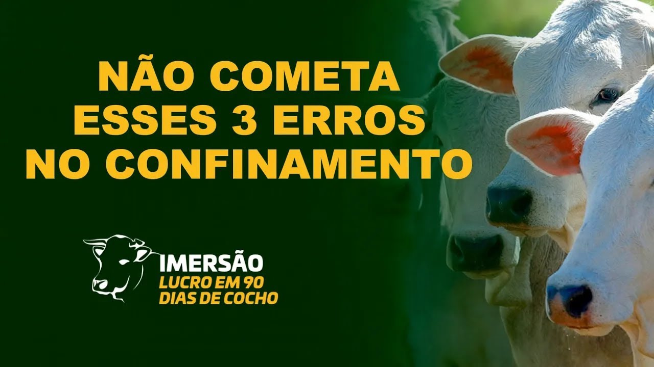 Os 3 erros que impedem o lucro de R$500 a R$1000 por cabeça no confinamento.