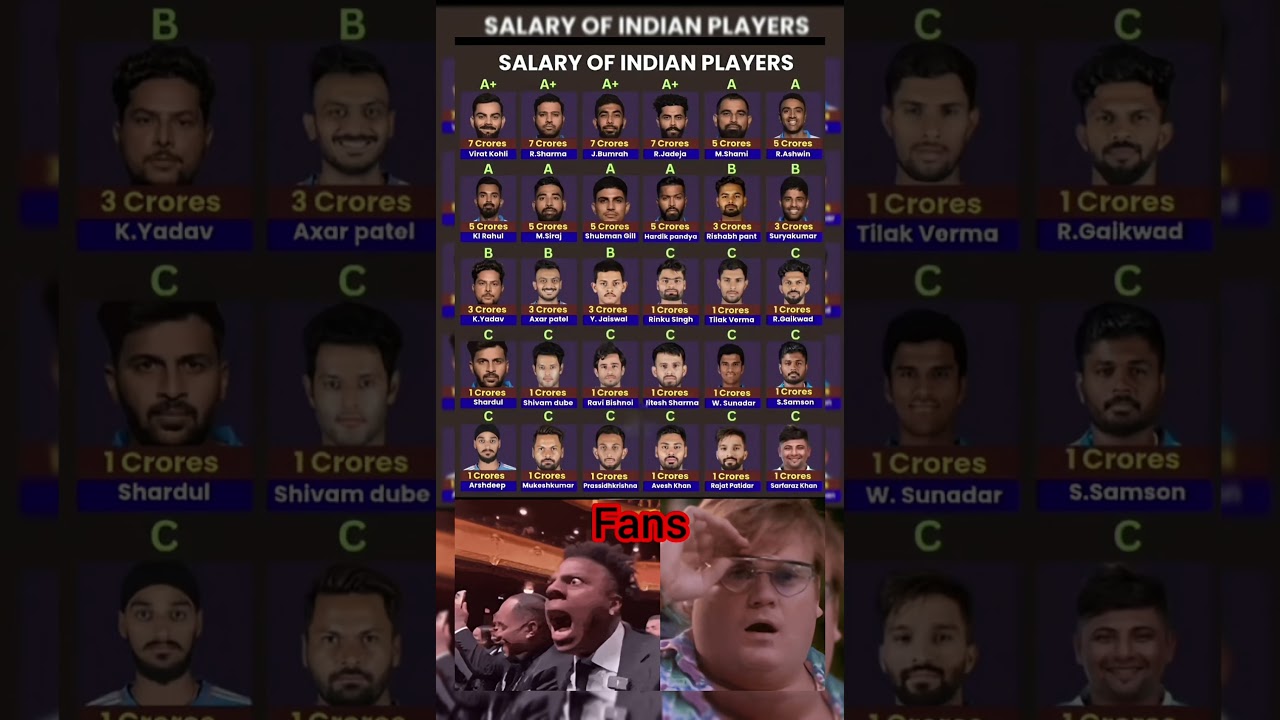 Indian cricketer salary per annual.