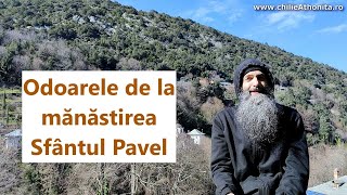 Odoarele din mănăstirea Sf. Pavel - părintele Pimen Vlad