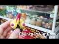 Falinks in Vietnam