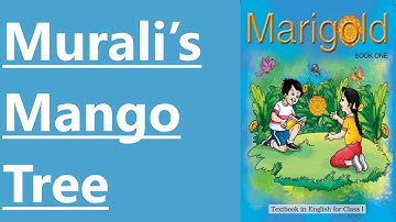 #6.2 Murali’s Mango Tree-NCERT-CLASS I-ENGLISH(MARIGOLD)