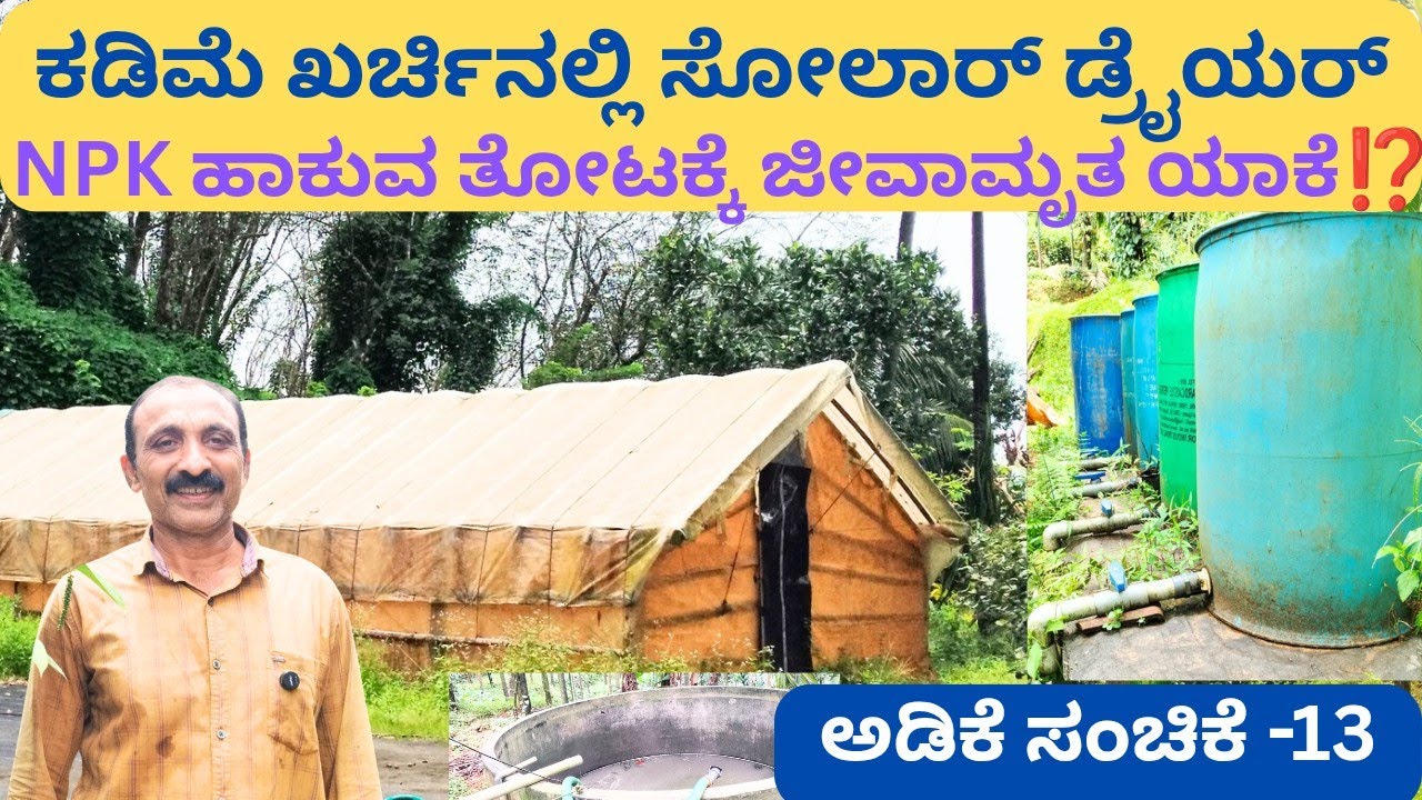 ಕಡಿಮೆ ಖರ್ಚಿನಿಂದ ದೊಡ್ಡ ಆದಾಯ‼️ಕೃತಕವಾಗಿ ತೋಟಕ್ಕೆ ಜೀವಾಮೃತ ಹಟ್ಟಿಯ ಗಂಜಲ‼️ ಸಾವಯವ+ರಾಸಾಯನಿಕ=ಉತ್ತಮ ಅಡಿಕೆ @ಸುಳ್ಯ