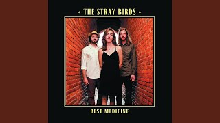 Video voorbeeld van "The Stray Birds - Best Medicine"