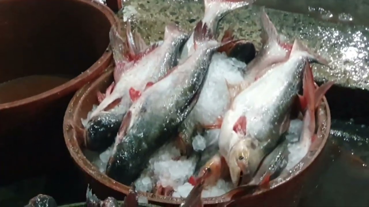 Malabon Fish Market 