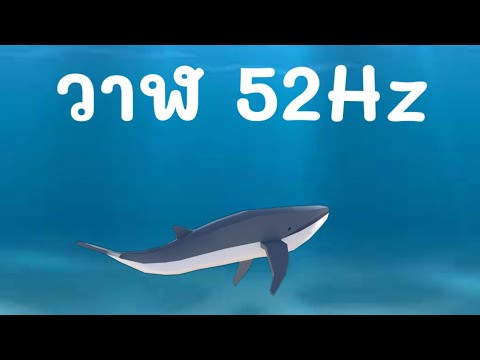 วาฬ​ 52Hz คลื่นเสียงที่ไม่มีใครได้ยิน | Good Job