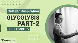 Glycolysis Part 2
