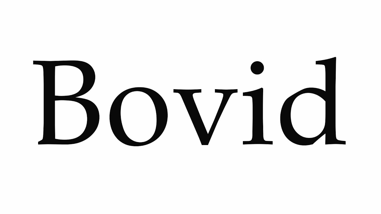 How to Pronounce Bovid - YouTube