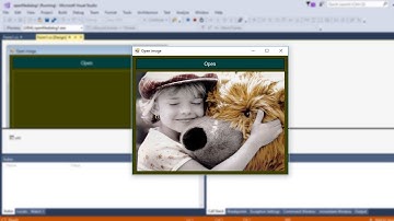 استعراض الصور | سي شارب | Open file dialog | c#