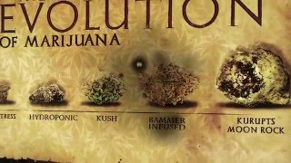 How MoonRocks was created